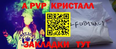 индика Новозыбков