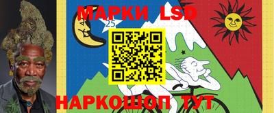 твердый Новодвинск