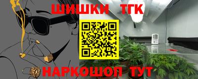 индика Новозыбков