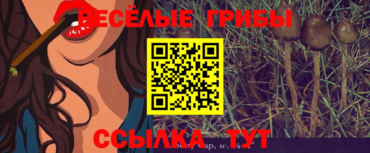купить наркоту  Псилоцибиновые грибы MAGIC MUSHROOMS  Псилоцибиновые грибы ЛСД  Вход с VPN  Трёхгорный 